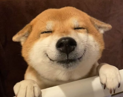 Tuấn Vũ, khách hàng văn phòng