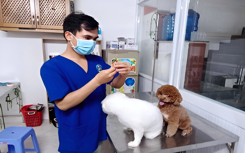 Phòng Khám Thú Y Su Pet